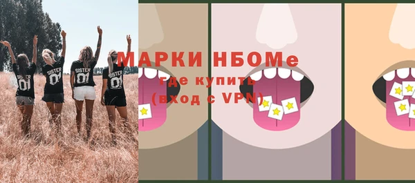 стаф Алексин