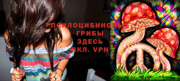 стаф Алексин