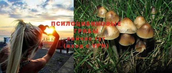 стаф Алексин