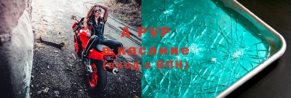 стаф Алексин